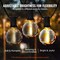 Black-Clear G40 LED String Lights 100ft 50 Bulbs Warm Glow Outdoor